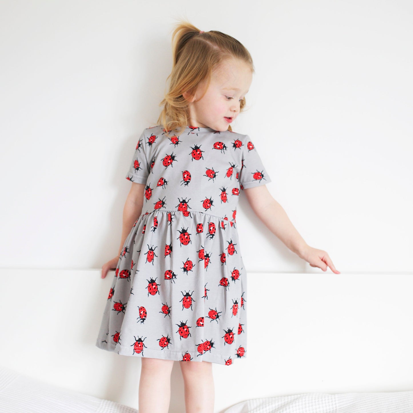 Ladybird Dress