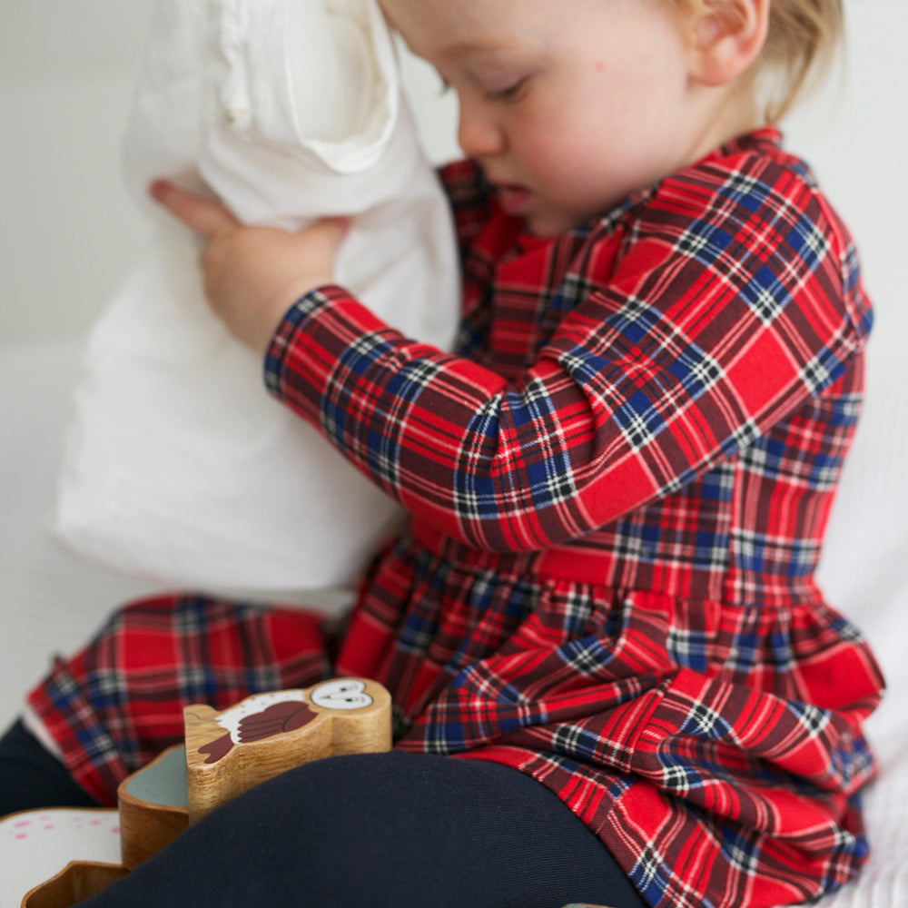 
                  
                    Long Sleeve Tartan Dress
                  
                