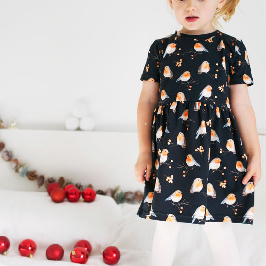 Load image into Gallery viewer, Robin Print Dress
