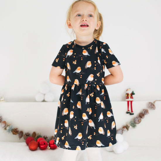 Load image into Gallery viewer, Robin Print Dress
