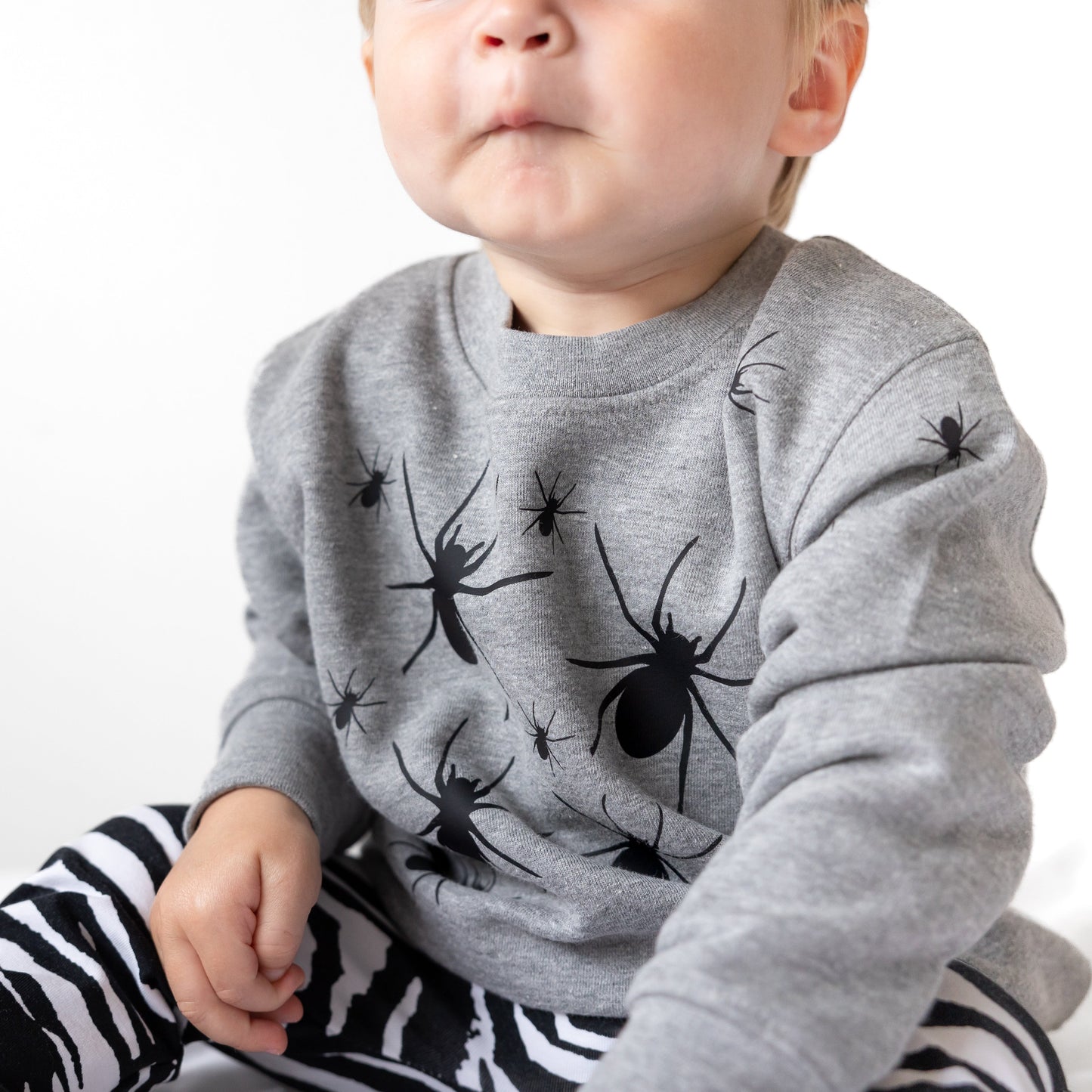 Load image into Gallery viewer, Spider sweater/ T shirt
